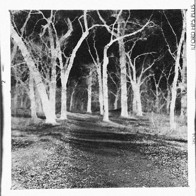 Manu Bay from the point